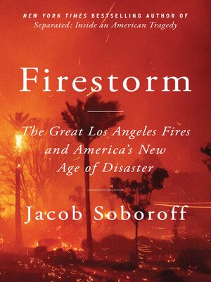 cover image of Firestorm